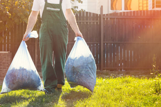 Best Basement Cleanout  in Navy Yard City, WA